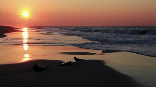 Sunrise Surf Loop II - Waves on the Gulf of Mexico roll over the sandy beach of Gulf Shores, Alabama just after sunrise in this moody seamless loop.