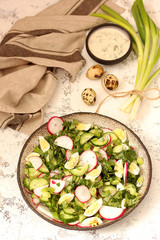 Salad with radish and cucumber