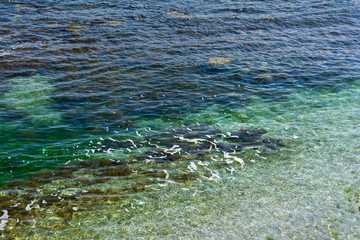Clear sea water background. Transparent sea surface. Beautiful seascape of the Black Sea coast near Tsarevo, Bulgaria. Arapya bay