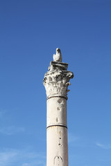 Pillar of Shame in Zadar Croatia. 