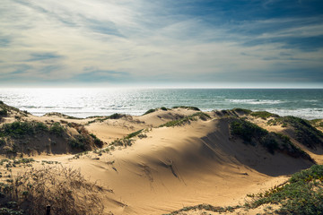 Sand Dunes and Ocean View,  Oso Flaco Lake Natural Area State Park, California