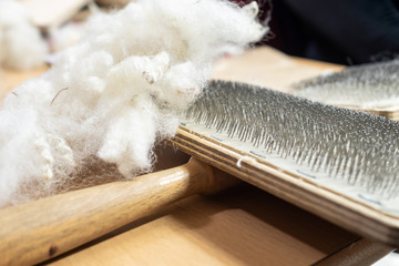 Raw fleece and carding brush for spinning