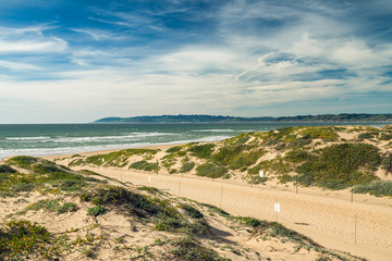 Footpath through Sand Dunes and Ocean View,  Oso Flaco Lake Natural Area State Park, California