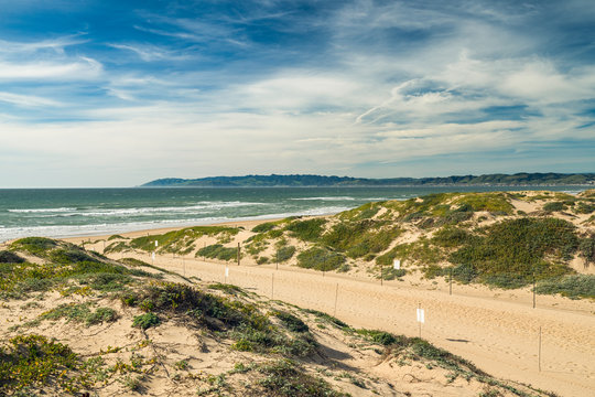 Footpath through Sand Dunes and Ocean View,  Oso Flaco Lake Natural Area State Park, California