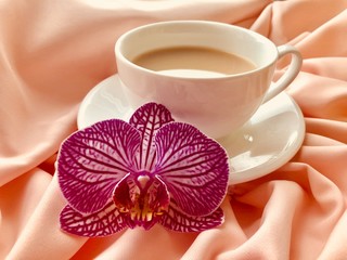 Красивый цветок на фоне белой чашки 