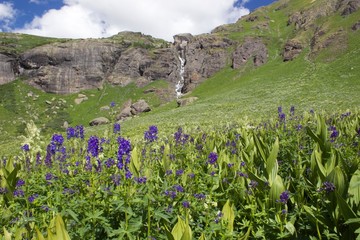 Obraz premium Waterfall in Meadow