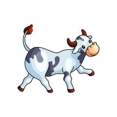Funny black and white spotted cow going straight isolated