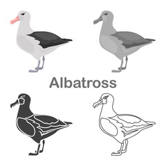Albatros color flat, simple, line, black white colors concept icons set