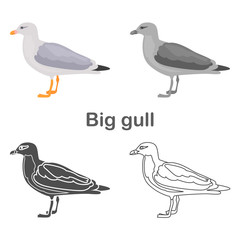 Big gull color flat, simple, line and black white colors concept icons set