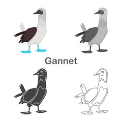 Gannet color flat, simple, line, black and white concept icons set