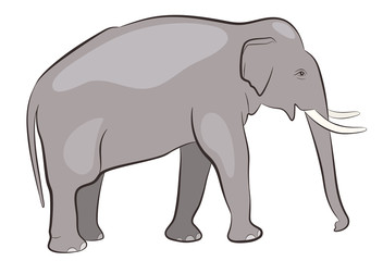 Fototapeta premium Elephant male isolated on white background, side view of elephant with tusks, vector illustration