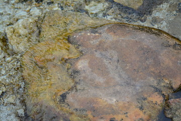 Granite stone under water in a mountain river