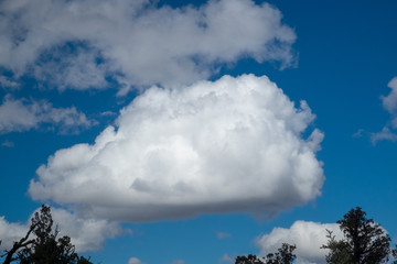 Obraz na płótnie Canvas Puffy cloud in a blue sky