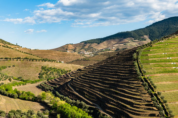 Torto river valley