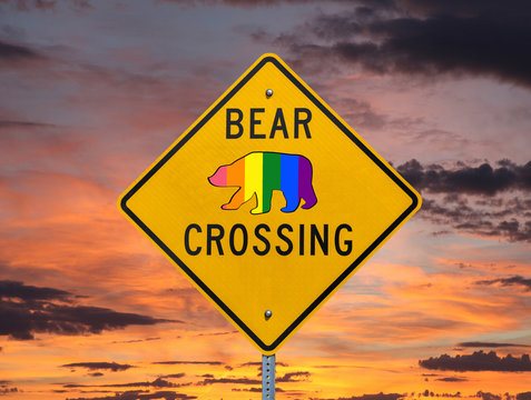 Rainbow gay pride flag bear crossing highway sign with sunset sky.