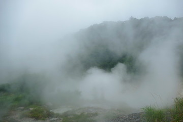 Foggy scenery on the hike up to Ebino kogen highlands, Kyushu, Japan