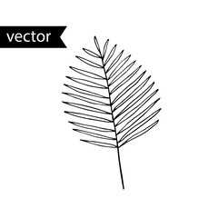 Vector outline illustration of tropical plant. Simple black and white hand drawn palm leaf.
