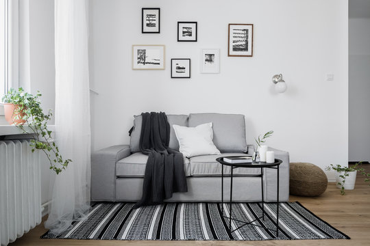 Gray sofa and pattern rug