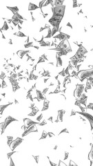 Flying dollars banknotes isolated on white background. Money is flying in the air. 100 US banknotes new sample. Black and white style. 3D illustration