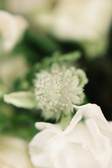 Beautiful luxury bouquet of mixed flowers. Wedding details. Wedding rings