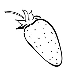 Strawberry line icon vector illustration on white background