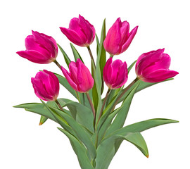 Fototapeta premium Bouquet of pink tulips isolated on white background