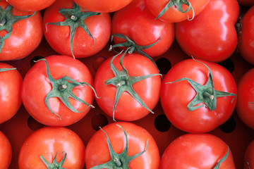fresh tomatoes at the market	