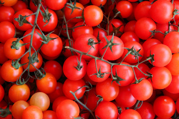 Fresh cherry tomatoes. Group of fresh tomatoes