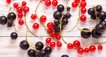 Naklejka na ściany i meble Fresh red and black currant on a white wooden background Top view