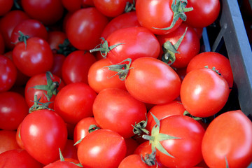 Freshly harvested red ripe tomatoes on display at the farmer's market