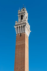 Fototapeta premium Siena top of the tower