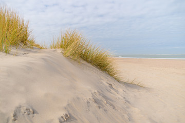 Fototapeta na wymiar view over the dunes to the sea with blue sky
