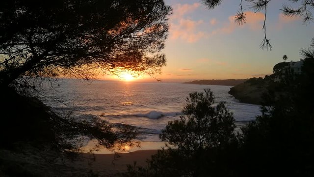 Hermosa puesta de sol en peque&ntilde;a playa o cala de mar encuadrada entre pinos