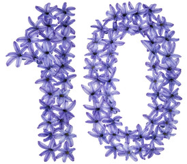 Numeral 10, ten, from natural flowers of hyacinth, isolated on white background