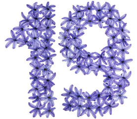 Numeral 19, nineteen,  from natural flowers of hyacinth, isolated on white background