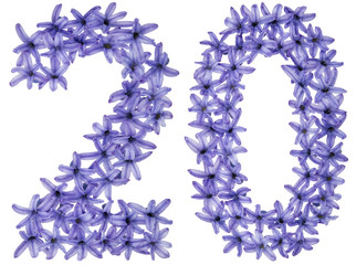 Numeral 20, twenty, from natural flowers of hyacinth, isolated on white background