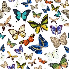 Seamless pattern with different types of multicolored butterflies. Vector illustration.