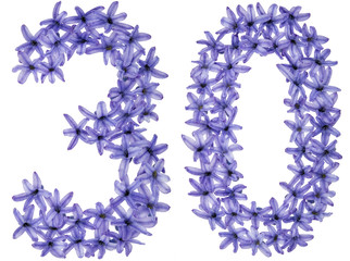 Numeral 30, thirty, from natural flowers of hyacinth, isolated on white background