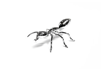 hardworking iron insect ant