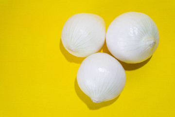 Set of onions on colorful background