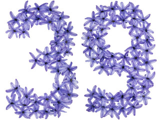 Numeral 39, thirty nine, from natural flowers of hyacinth, isolated on white background