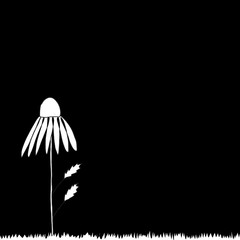 flower arrangement with space for text