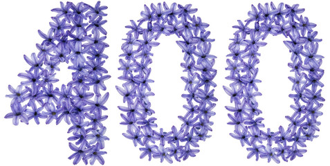 Numeral 400, four hundred, from natural flowers of hyacinth, isolated on white background