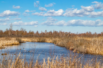 The moat after peat extraction turned into a swamp lake