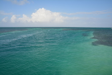 Fototapeta premium Plage The Split Caye Caulker Belize