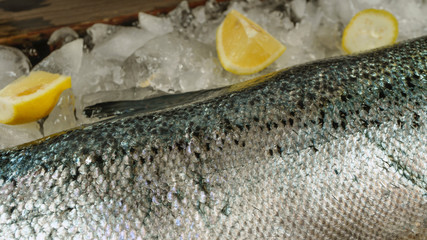 Salmon, ice, fish store, fish, food, frozen, seafood, production, hygiene, store, health, sea, ocean, display, advertising, ocean, red fish, chum salmon, sockeye, Alaska, Kamchatka, Sakhalin, prepared