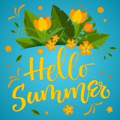 Fototapeta na wymiar Summer season - Hello Summer - colorful handwrite calligraphy