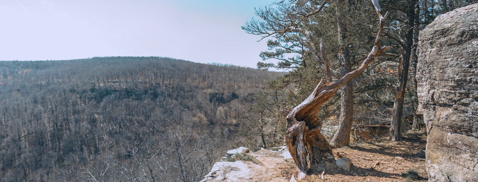 Panoramic View Of Whitaker Point Trailhead National Forest, Kings River Township, AR