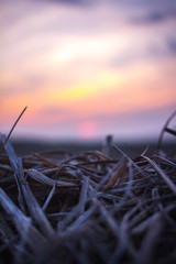 Zachód słońca nad balotem siana © krzysiek