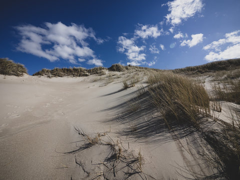 Bjerregard 01.04.2019